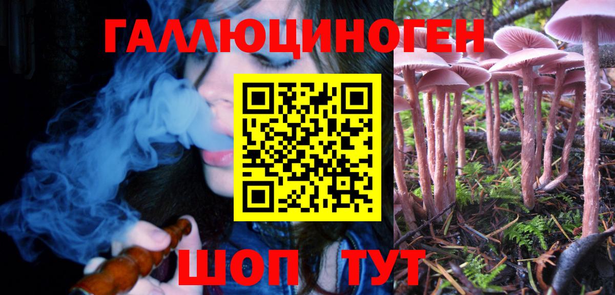 Галлюциногенные грибы Psilocybe Иркутск
